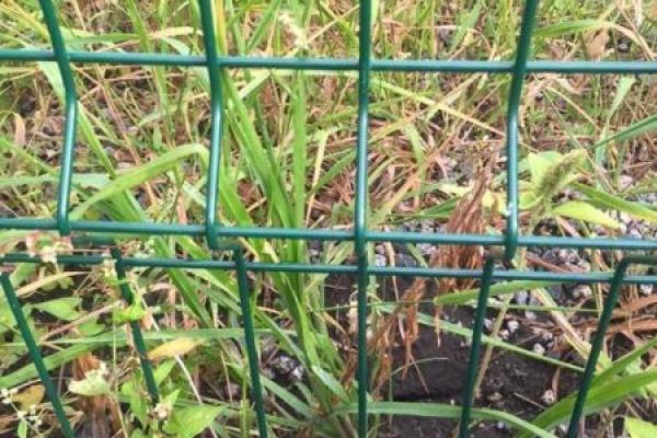 Дешевле, чем у Яценюка: Литва построит стену на границе с РФ