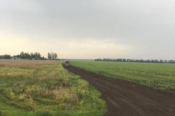 Девочку, которую всю ночь искали в Волновахском районе, нашли мертвой в 300 метрах от дома