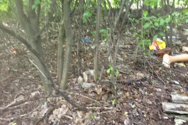 Девочку, которую всю ночь искали в Волновахском районе, нашли мертвой в 300 метрах от дома