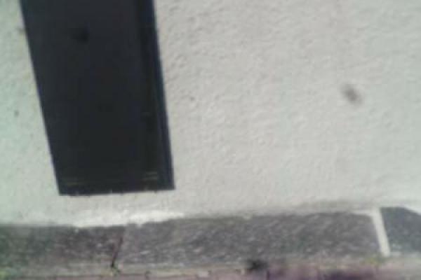 На Донетчине облили черной краской памятную доску в честь погибших бойцов "Донбасса" На Донетчине облили черной краской памятную доску в честь погибших бойцов "Донбасса"