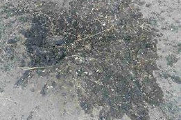 Боевики обстреляли мирную Сартану: разрушены здания и повреждены автомобили Боевики обстреляли мирную Сартану: разрушены здания и повреждены автомобили