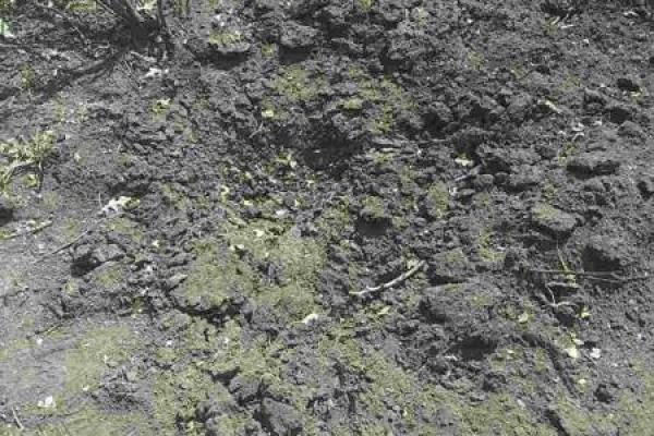 На Луганщине в результате обстрелов боевиков повреждены жилые дома в Золотом