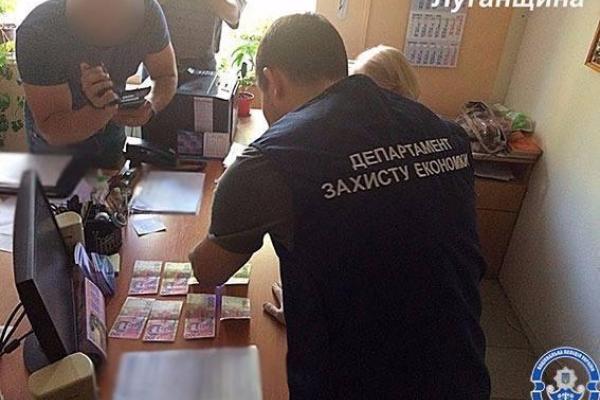 В Лисичанске сотрудник центра занятости попался на взятке в 10 тысяч грн