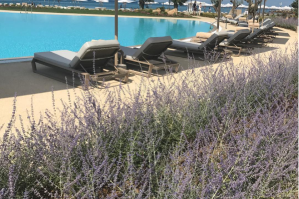 Волочкова показала поклонникам снимки с отдыха в Греции Волочкова показала поклонникам снимки с отдыха в Греции