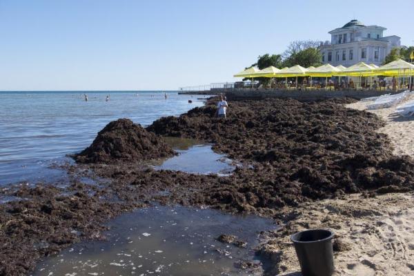 Море шоколадного цвета: пляжи Евпатории завалены зловонной субстанцией Море шоколадного цвета: пляжи Евпатории завалены зловонной субстанцией