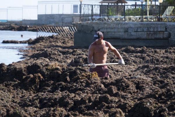 Море шоколадного цвета: пляжи Евпатории завалены зловонной субстанцией Море шоколадного цвета: пляжи Евпатории завалены зловонной субстанцией