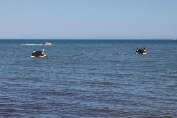 Море шоколадного цвета: пляжи Евпатории завалены зловонной субстанцией Море шоколадного цвета: пляжи Евпатории завалены зловонной субстанцией