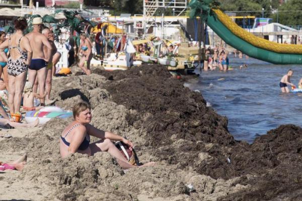 Море шоколадного цвета: пляжи Евпатории завалены зловонной субстанцией Море шоколадного цвета: пляжи Евпатории завалены зловонной субстанцией