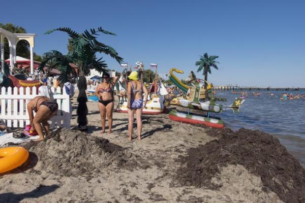 Море шоколадного цвета: пляжи Евпатории завалены зловонной субстанцией Море шоколадного цвета: пляжи Евпатории завалены зловонной субстанцией