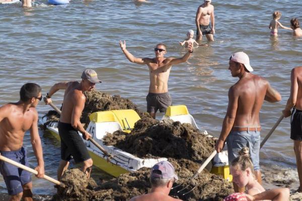Море шоколадного цвета: пляжи Евпатории завалены зловонной субстанцией Море шоколадного цвета: пляжи Евпатории завалены зловонной субстанцией