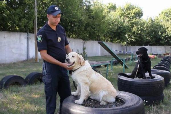 Общественный порядок Харькова будут охранять 12 служебных собак в составе пеших патрулей