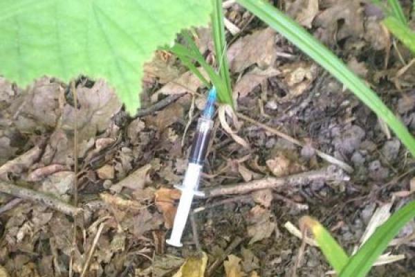 "Ловушки" в харьковском парке: посетители обнаружили в кустах шприц с кровью  "Ловушки" в харьковском парке: посетители обнаружили в кустах шприц с кровью