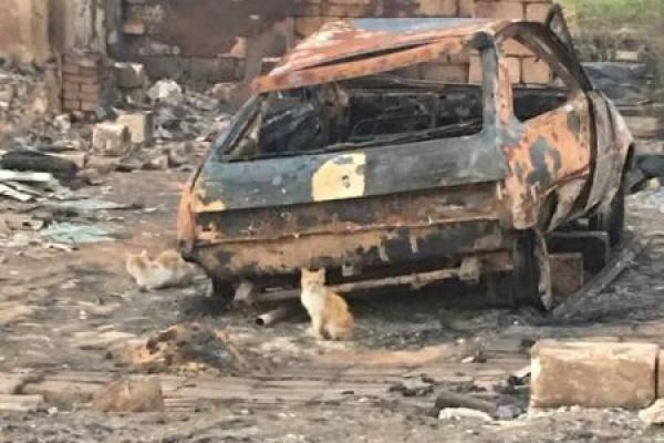 Страшная трагедия: Вдоль трассы, ведущей на Лисичанск, полностью выгорело село Страшная трагедия: Вдоль трассы, ведущей на Лисичанск, полностью выгорело село