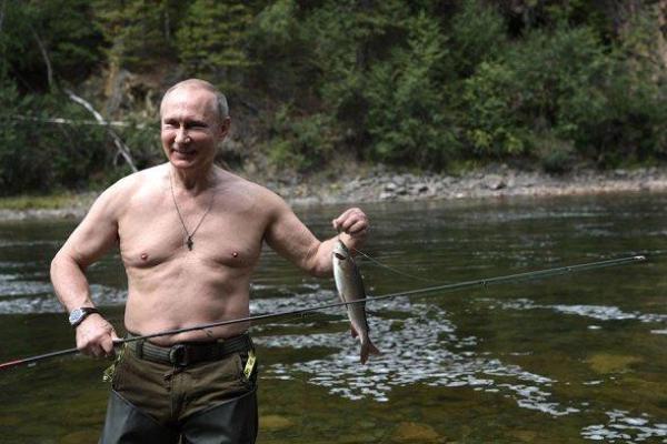 Соцсети смеются над Путиным, который оголил торс для щук Соцсети смеются над Путиным, который оголил торс для щук