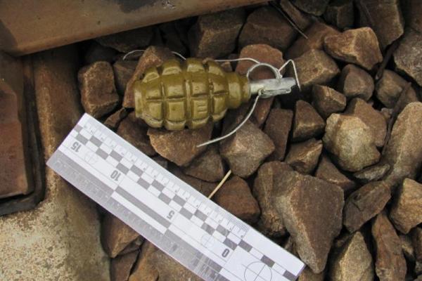 На железнодорожном пути в Рубежном дети нашли гранату Ф-1 