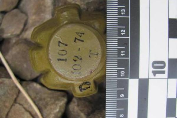 На железнодорожном пути в Рубежном дети нашли гранату Ф-1 