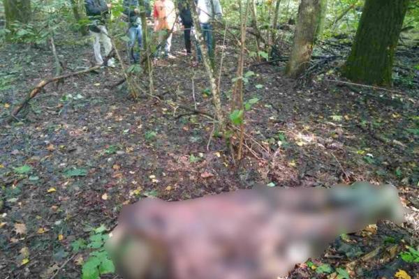 Детектор лжи помог черниговским полицейским найти убийцу грибника