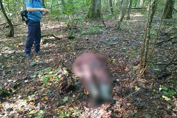 Детектор лжи помог черниговским полицейским найти убийцу грибника