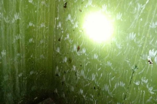 В харьковской многоэтажке прогремел взрыв, погиб молодой парень В харьковской многоэтажке прогремел взрыв, погиб молодой парень