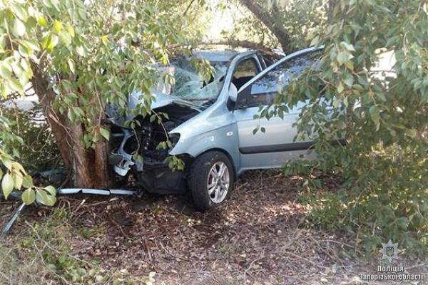 На Запорожье произошло ДТП из-за собаки, женщина-водитель погибла на месте На Запорожье произошло ДТП из-за собаки, женщина-водитель погибла на месте