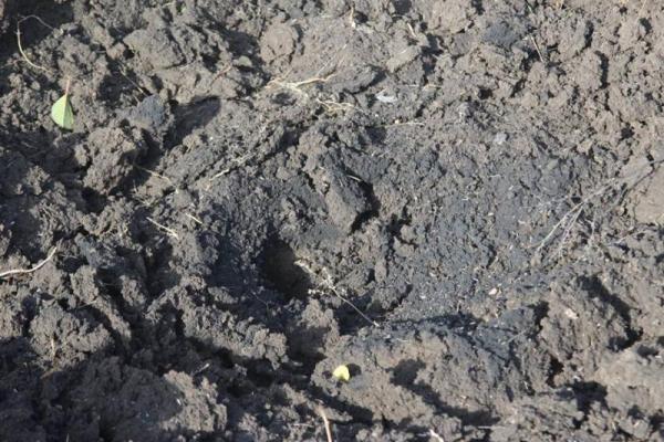 Донбасские террористы обстреляли жилые кварталы Водяного Донбасские террористы обстреляли жилые кварталы Водяного