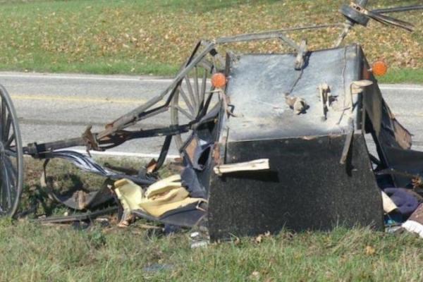 В США карета попала в ДТП, погибли трое детей В США карета попала в ДТП, погибли трое детей