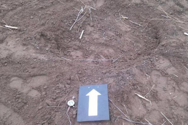 Боевики обстреляли жилые дома в Трехизбенке: появились фото последствий Боевики обстреляли жилые дома в Трехизбенке: появились фото последствий