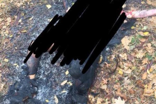 В Одесской области группа иностранцев совершила ритуальное убийство В Одесской области группа иностранцев совершила ритуальное убийство