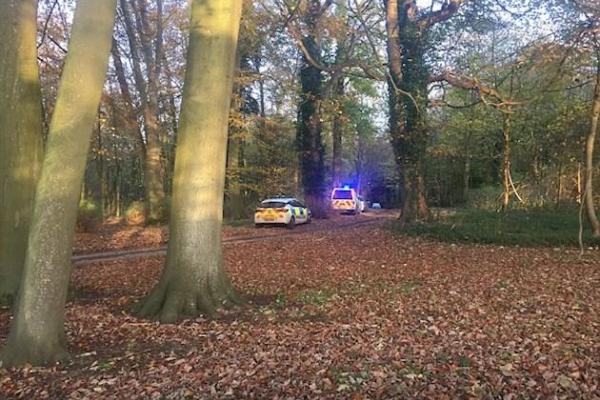 В небе над Великобританией столкнулись самолет и вертолет В небе над Великобританией столкнулись самолет и вертолет