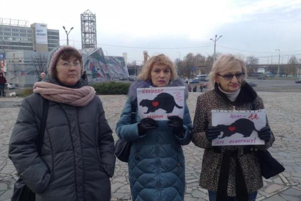 "Гастроли цирка ужасов": жители Днепра шокированы жестоким обращением с животными "Гастроли цирка ужасов": жители Днепра шокированы жестоким обращением с животными