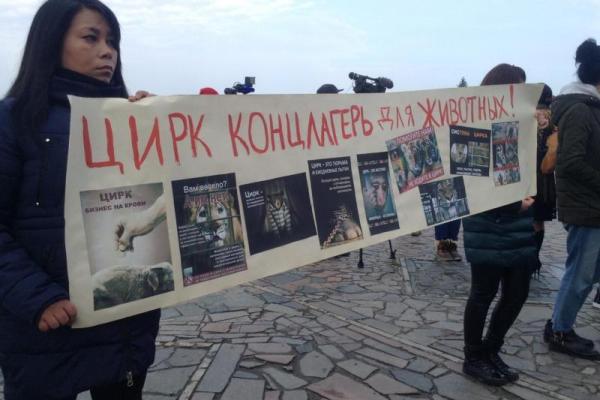 "Гастроли цирка ужасов": жители Днепра шокированы жестоким обращением с животными "Гастроли цирка ужасов": жители Днепра шокированы жестоким обращением с животными