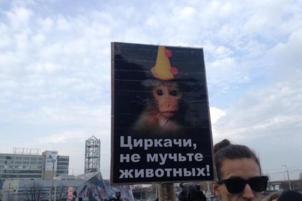 "Гастроли цирка ужасов": жители Днепра шокированы жестоким обращением с животными "Гастроли цирка ужасов": жители Днепра шокированы жестоким обращением с животными