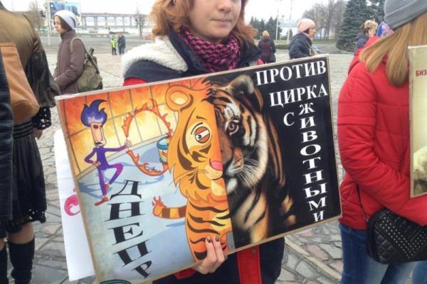 "Гастроли цирка ужасов": жители Днепра шокированы жестоким обращением с животными "Гастроли цирка ужасов": жители Днепра шокированы жестоким обращением с животными