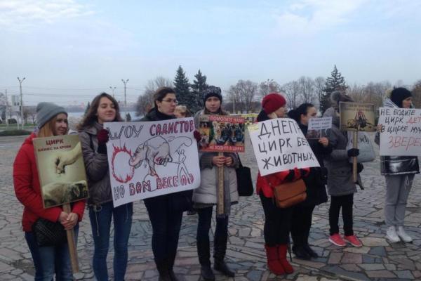 "Гастроли цирка ужасов": жители Днепра шокированы жестоким обращением с животными "Гастроли цирка ужасов": жители Днепра шокированы жестоким обращением с животными