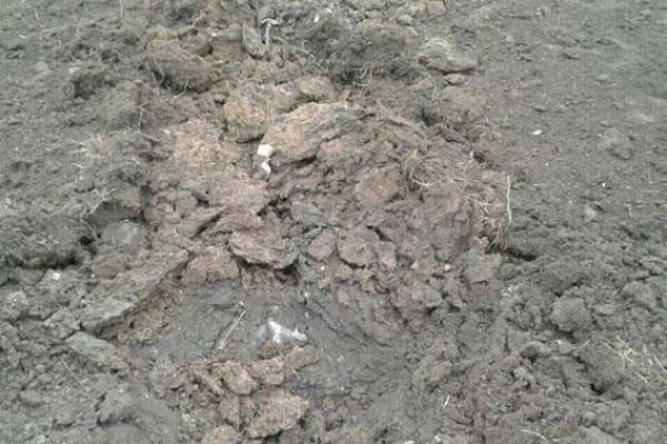 Боевики обстреляли Авдеевку из "Града" Боевики обстреляли Авдеевку из "Града"