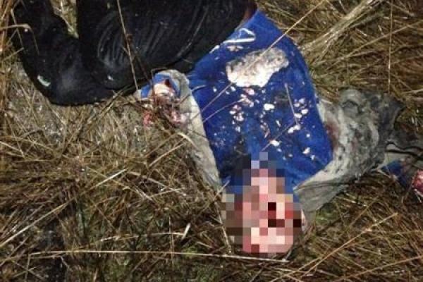 В Херсонской области грабитель удирал от полиции на патрульном авто и взорвал себя гранатой при задержании В Херсонской области грабитель удирал от полиции на патрульном авто и взорвал себя гранатой при задержании
