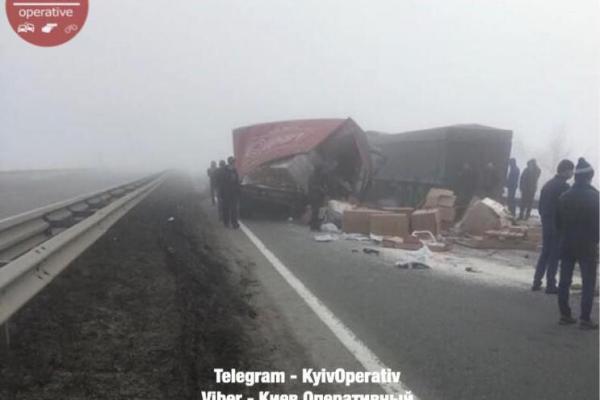 На трассе Киев-Одесса тягач раздавил водителя микроавтобуса, который менял колесо На трассе Киев-Одесса тягач раздавил водителя микроавтобуса, который менял колесо