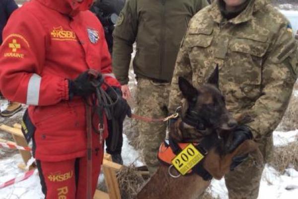 Вблизи Лисичанска ведется поиск тел погибших во время боевых действий Вблизи Лисичанска ведется поиск тел погибших во время боевых действий
