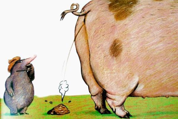 Сеть с новой силой всколыхнула старая немецкая сказка про какашку с украинской озвучкой Сеть с новой силой всколыхнула старая немецкая сказка про какашку с украинской озвучкой