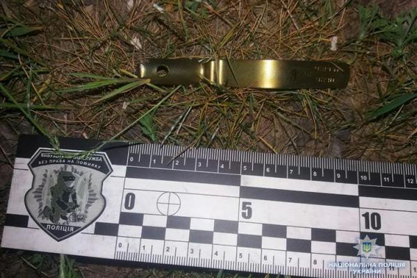 На Запорожье взрывом ранило главу поселкового совета На Запорожье взрывом ранило главу поселкового совета