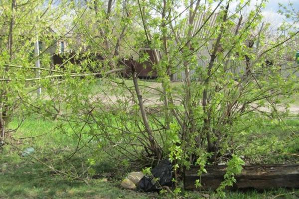 В Рубежном у железнодорожных путей нашли пакет с боеприпасами и взрывчаткой
