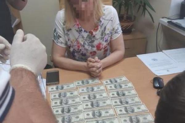 СБУ и САП разоблачили судью-взяточницу в Киеве СБУ и САП разоблачили судью-взяточницу в Киеве
