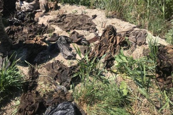 Шок: Под Днепром на свалке нашли мешки с вещами погибших в «Иловайском котле» Шок: Под Днепром на свалке нашли мешки с вещами погибших в «Иловайском котле»