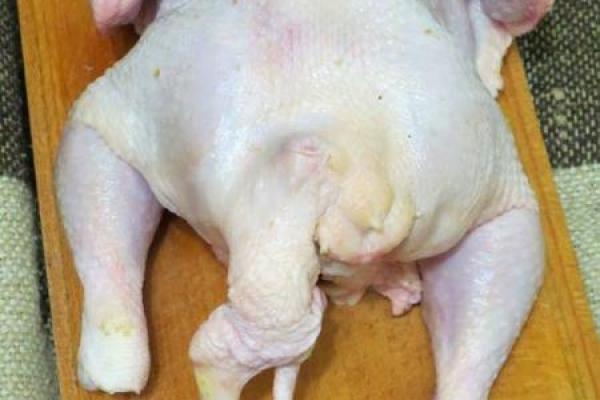 Хотела сбежать с мясокомбината? В Харькове обнаружили курицу-мутанта Хотела сбежать с мясокомбината? В Харькове обнаружили курицу-мутанта