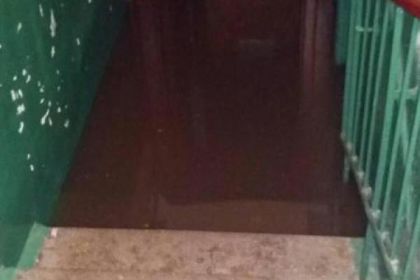 В сети появились снимки с Чернигова, который после стихии стал "Венецией" В сети появились снимки с Чернигова, который после стихии стал "Венецией"