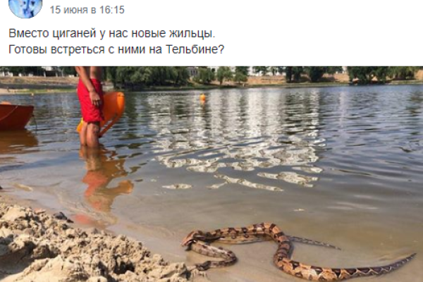Киевлян шокировали огромные змеи на столичном пляже Киевлян шокировали огромные змеи на столичном пляже