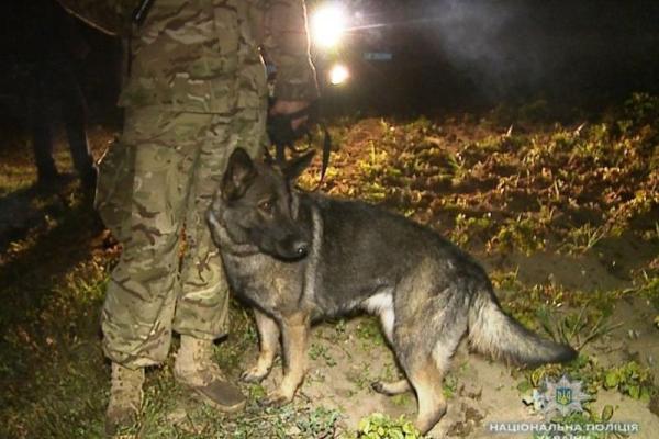 В Винницкой области во время задержания преступника от взрыва гранаты пострадал полицейский В Винницкой области во время задержания преступника от взрыва гранаты пострадал полицейский