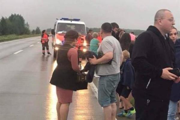 Под Киевом автобус с детьми слетел в кювет Под Киевом автобус с детьми слетел в кювет