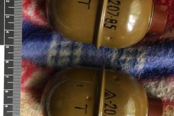 "Сувенир" из леса: В прифронтовом Торецке у женщины изъяли гранаты "Сувенир" из леса: В прифронтовом Торецке у женщины изъяли гранаты