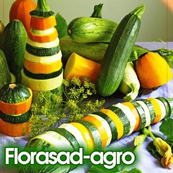 сайт Florasad-agro.com.ua